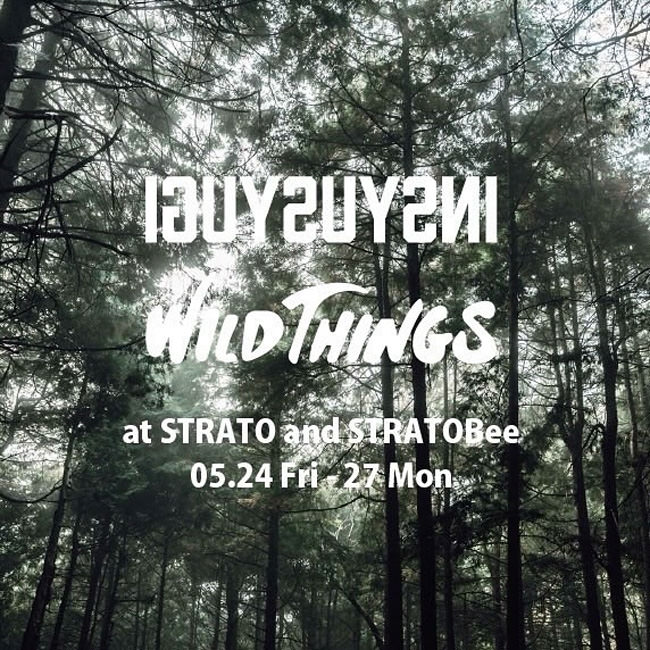 WILDTHINGS at STRATO and STRATOBee w/ INSYUSYUGI