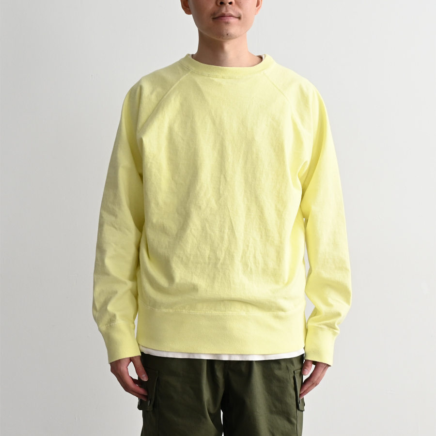NECESSARY or UNNECESSARY /N.O.UN RAGLAN SWEAT